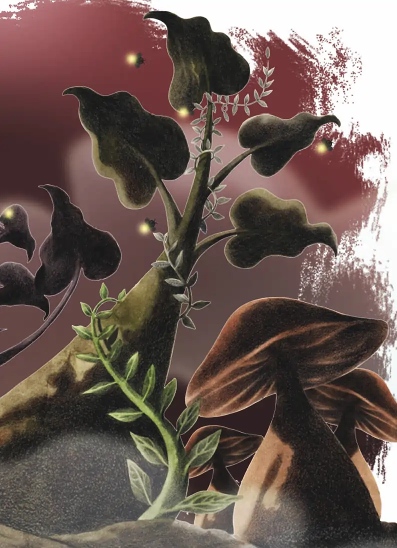 O caracol e a bela flor